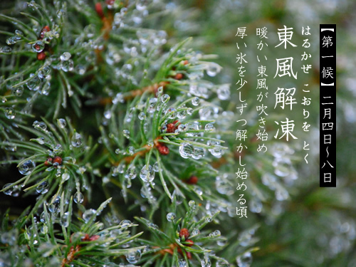 140222_04.jpg