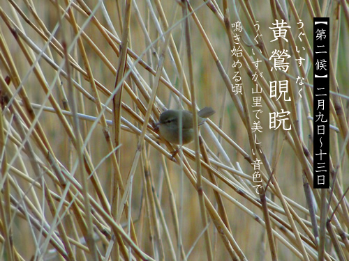 140222_05.jpg