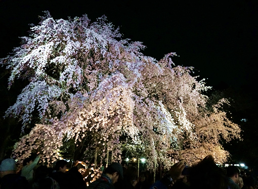 140331_02.jpg