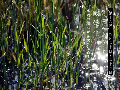 140429_03.jpg