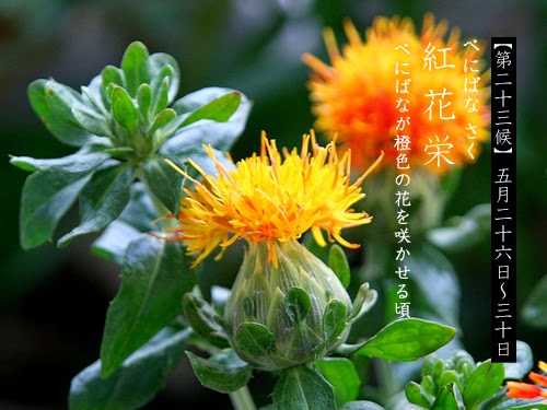 140524_10.jpg